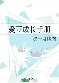 《爱豆成长手册》