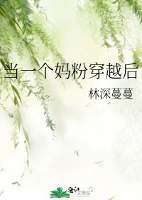 《当一个妈粉穿越后》