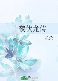 《十夜伏龙传》