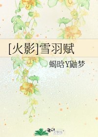 [火影]雪羽赋