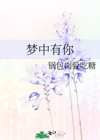 《梦中有你》
