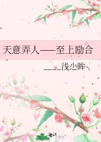 《天意弄人——至上励合》
