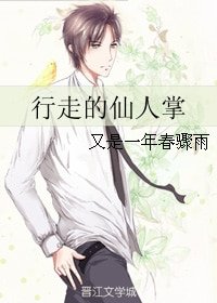 《行走的仙人掌》