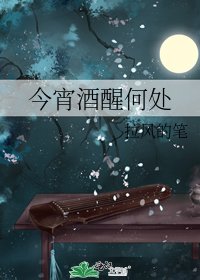 《今宵酒醒何处》