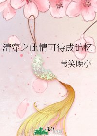 《清穿之此情可待成追忆》