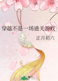 《穿越不是一场通关游戏》