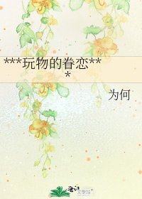 《***玩物的眷恋***》