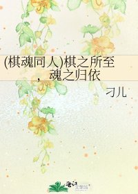 (棋魂同人)棋之所至，魂之归依