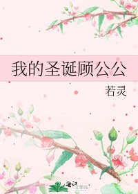 《我的圣诞顾公公》