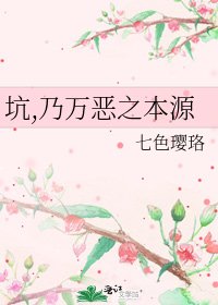 《坑,乃万恶之本源》