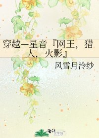 《穿越—星音『网王,猎人,火影』》