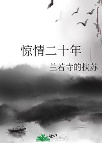惊情二十年