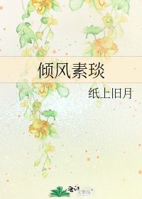 《倾风素琰》
