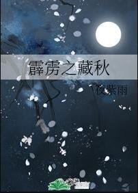 《(霹雳同人)霹雳之藏秋》