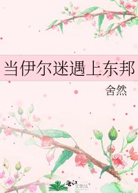 《当伊尔迷遇上东邦》