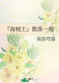 《『海贼王』散落一地》