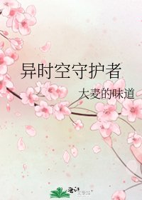《异时空守护者》