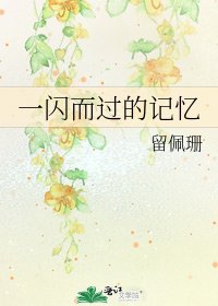 《一闪而过的记忆》
