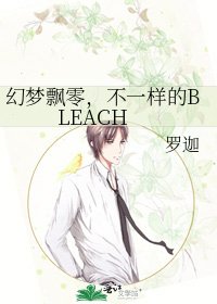 幻梦飘零，不一样的BLEACH