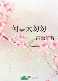 《何事太匆匆》