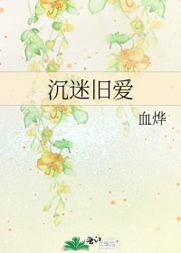 《沉迷旧爱》