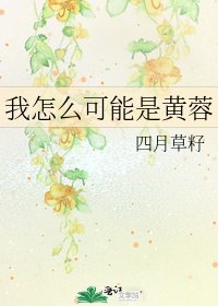 《我怎么可能是黄蓉》