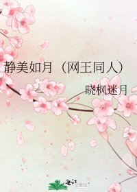 《静美如月(网王同人)》