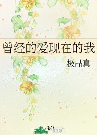《曾经的爱现在的我》