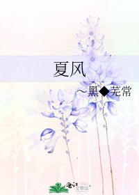《夏风》