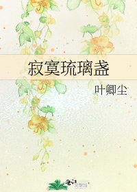 《寂寞琉璃盏》