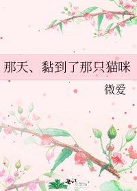 《那天、黏到了那只猫咪》