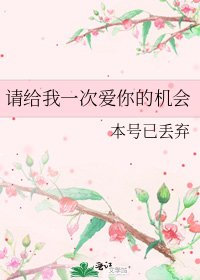 《请给我一次爱你的机会》
