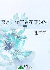 《又是一年丁香花开的季节》