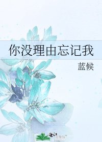 你没理由忘记我