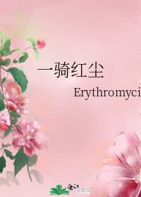一骑红尘