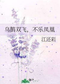 《乌鹊双飞,不乐凤凰》