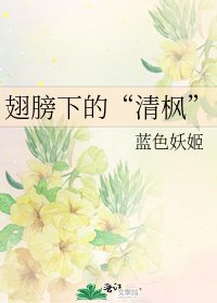《翅膀下的“清枫”》