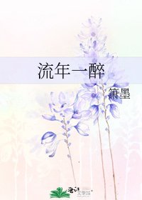 《流年一醉》