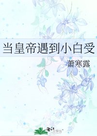 《当皇帝遇到小白受》