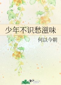 《少年不识愁滋味》