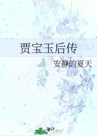 《贾宝玉后传》