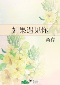 《如果遇见你》