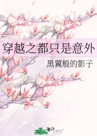 穿越之都只是意外