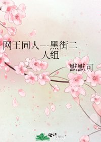 《网王同人---黑街二人组》