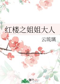 红楼之姐姐大人