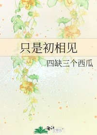 《只是初相见》