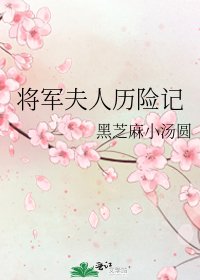 《将军夫人历险记》