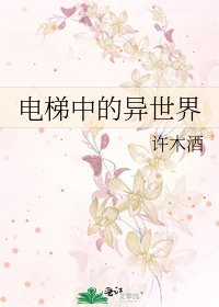 电梯中的异世界