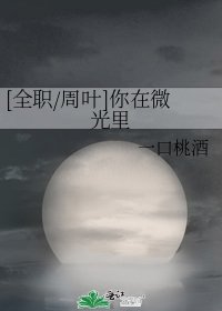 [全职/周叶]你在微光里