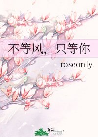 不等风，只等你